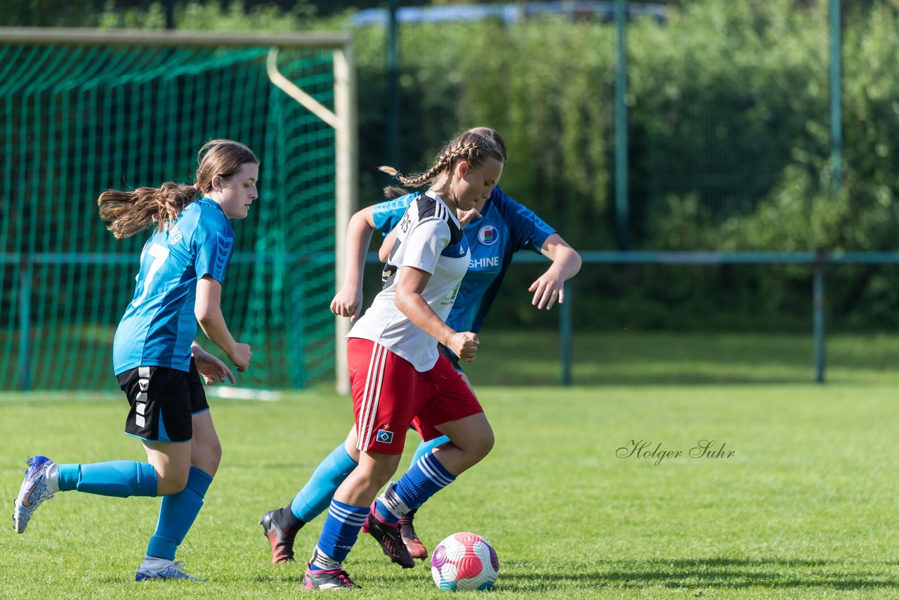 Bild 102 - wBJ VfL Pinneberg - Hamburger SV 2 : Ergebnis: 1:3